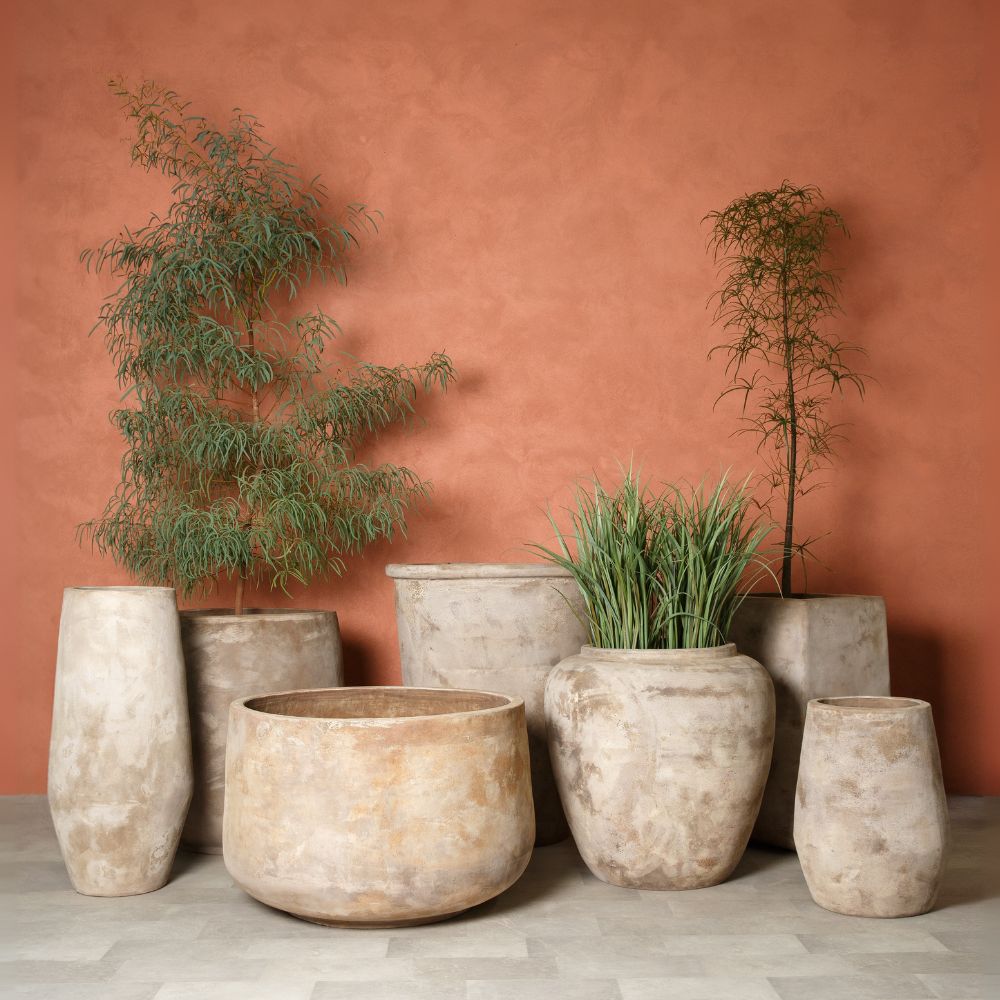 Terra Botanica